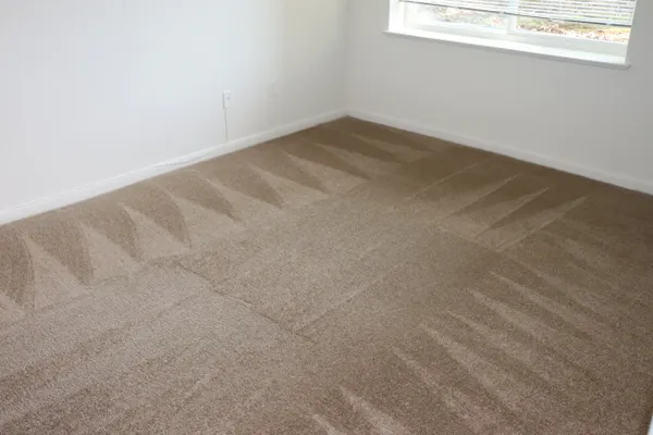 Deep carpet clean