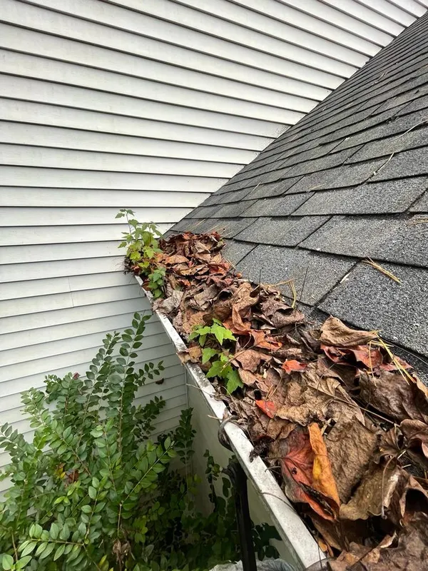 Gutter cleaning